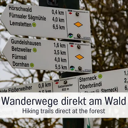 Salzenweiler Eingezaeunt - Sauna - Kamin - Wlan Loßburg