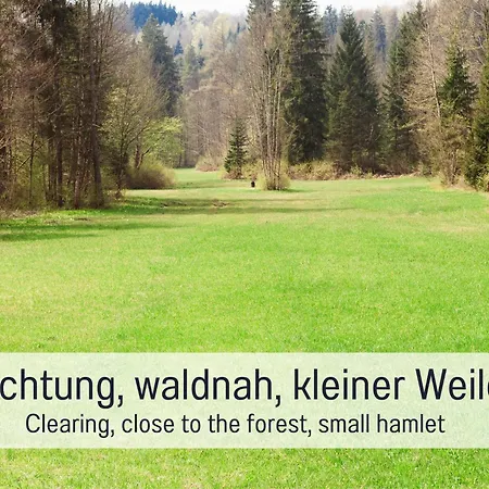 Salzenweiler Eingezaeunt - Sauna - Kamin - Wlan * Loßburg