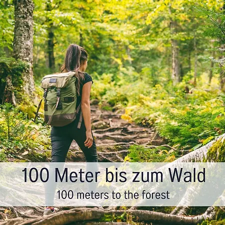 Tatil Evi Salzenweiler Eingezaeunt - Sauna - Kamin - Wlan *