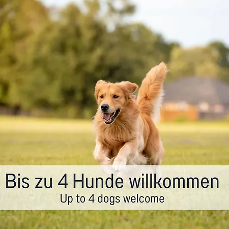 Salzenweiler Eingezaeunt - Sauna - Kamin - Wlan Loßburg